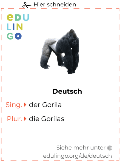 Gorila auf Deutsch Vokabelkartei zum Ausdrucken, Üben und Lernen