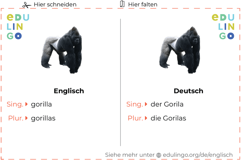 Gorila auf Englisch Vokabelkartei zum Ausdrucken, Üben und Lernen