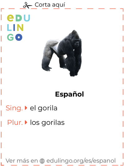 Ficha de Vocabulario Gorila en español para imprimir, practicar y aprender