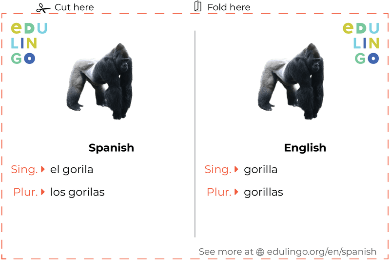 Gorilla in Spanish vocabulary flashcard for printing, practicing and learning