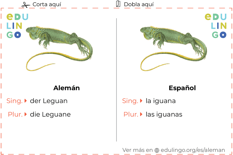 Ficha de Vocabulario Iguana en alemán para imprimir, practicar y aprender