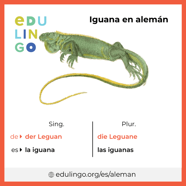 Imagen de vocabulario Iguana en alemán con singular y plural para descargar e imprimir