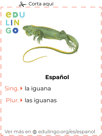 Ficha de Vocabulario Iguana en español para imprimir, practicar y aprender