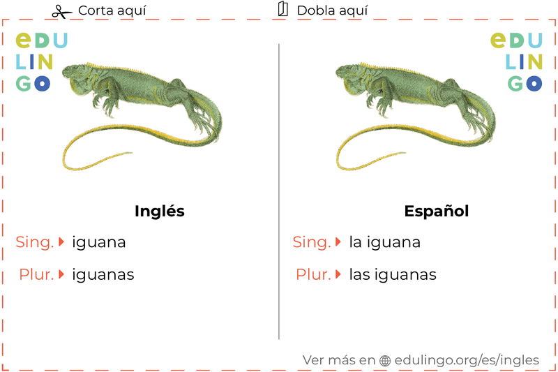 Ficha de Vocabulario Iguana en inglés para imprimir, practicar y aprender