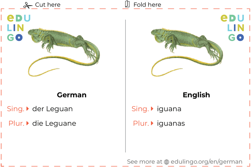 Iguana in German vocabulary flashcard for printing, practicing and learning