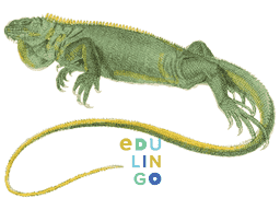 Thumbnail: Iguana in English