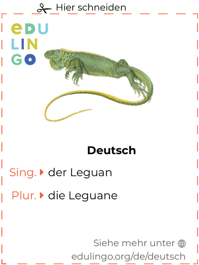 Leguan auf Deutsch Vokabelkartei zum Ausdrucken, Üben und Lernen
