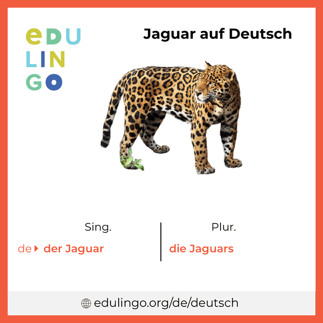 Jaguar auf Deutsch Vokabelbild mit Singular und Plural zum Herunterladen und Ausdrucken