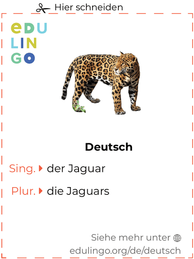Jaguar auf Deutsch Vokabelkartei zum Ausdrucken, Üben und Lernen