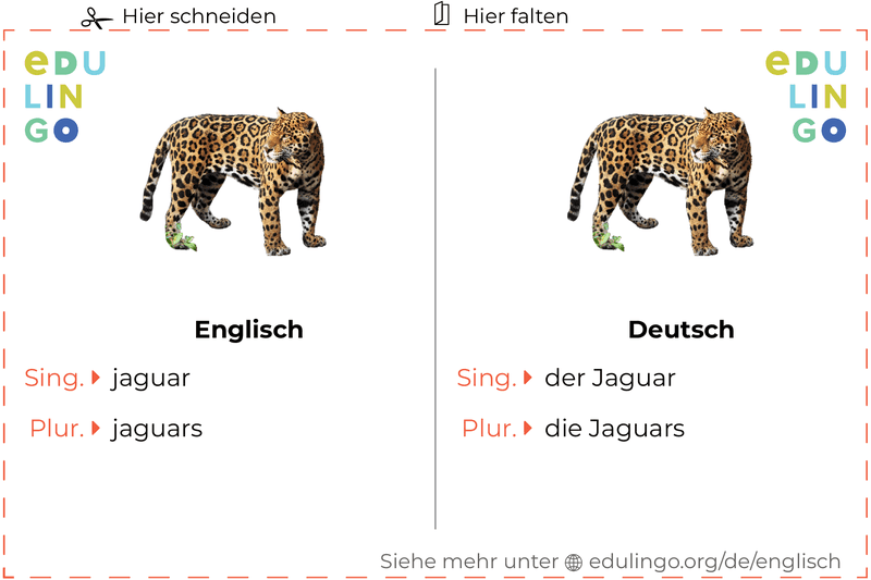 Jaguar auf Englisch Vokabelkartei zum Ausdrucken, Üben und Lernen