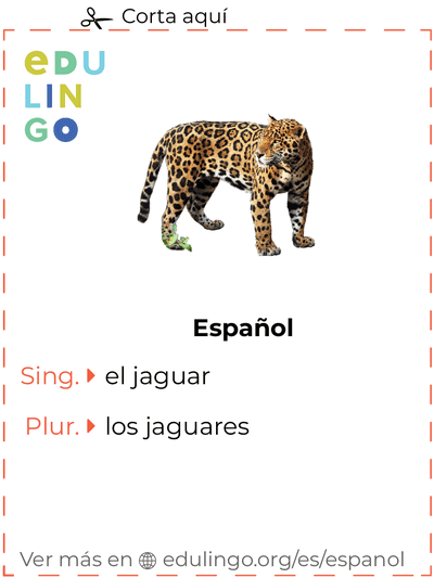 Ficha de Vocabulario Jaguar en español para imprimir, practicar y aprender
