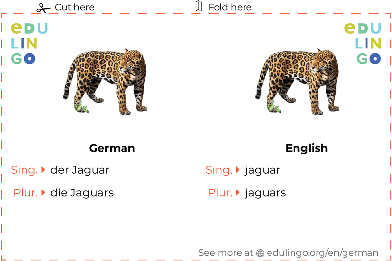 Jaguar in German vocabulary flashcard for printing, practicing and learning