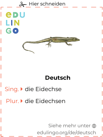 Eidechse auf Deutsch Vokabelkartei zum Ausdrucken, Üben und Lernen