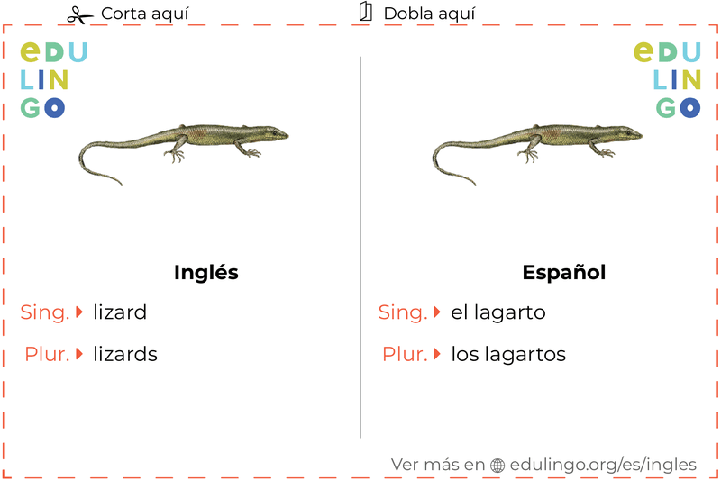 Ficha de Vocabulario Lagarto en inglés para imprimir, practicar y aprender