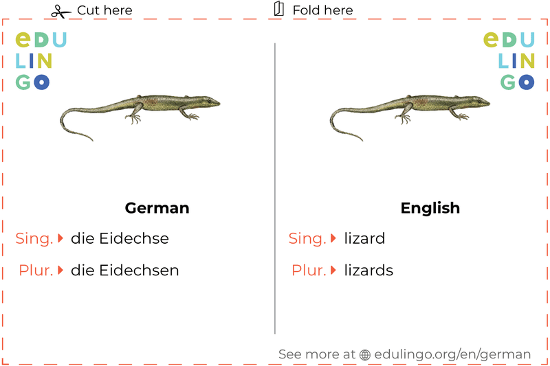 Lizard in German vocabulary flashcard for printing, practicing and learning