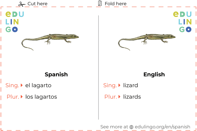 Lizard in Spanish vocabulary flashcard for printing, practicing and learning