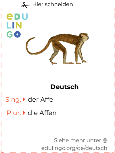 Affe auf Deutsch Vokabelkartei zum Ausdrucken, Üben und Lernen
