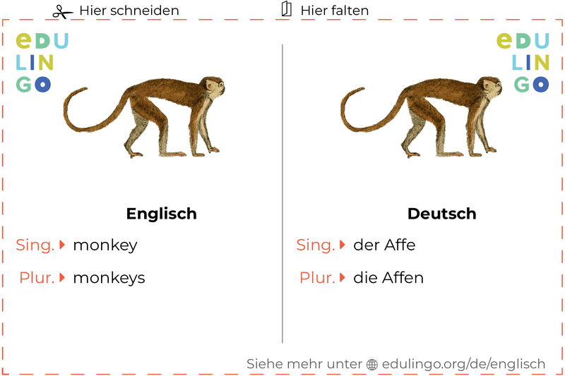 Affe auf Englisch Vokabelkartei zum Ausdrucken, Üben und Lernen