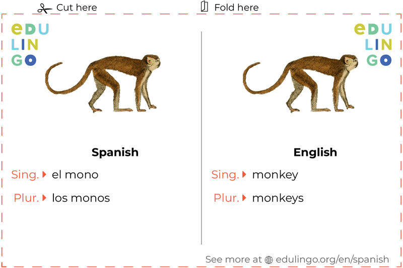 Monkey in Spanish vocabulary flashcard for printing, practicing and learning