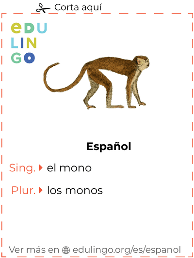 Ficha de Vocabulario Mono en español para imprimir, practicar y aprender