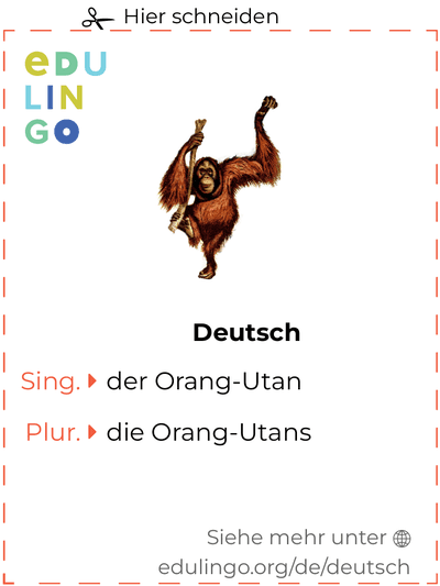 Orang-utan auf Deutsch Vokabelkartei zum Ausdrucken, Üben und Lernen