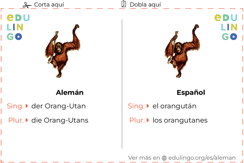 Ficha de Vocabulario Orangután en alemán para imprimir, practicar y aprender