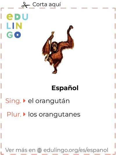 Ficha de Vocabulario Orangután en español para imprimir, practicar y aprender
