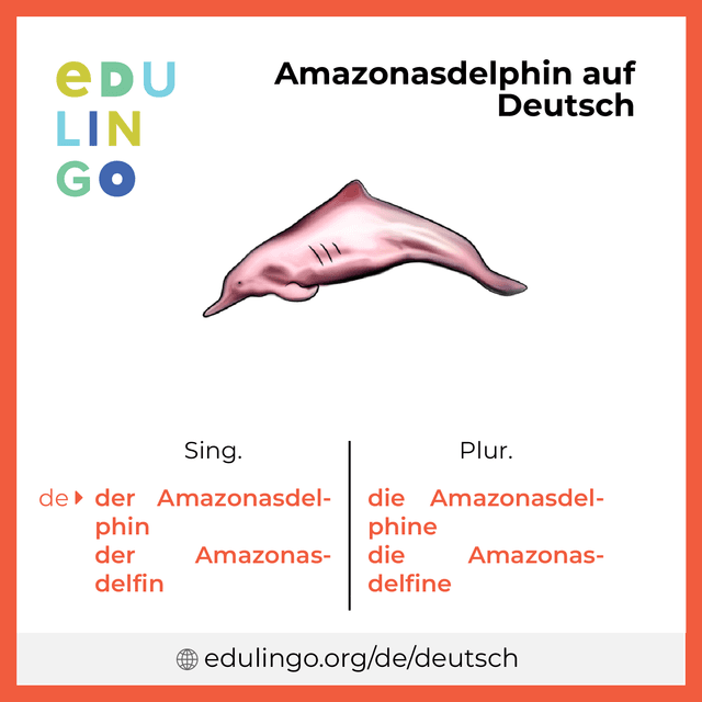 Amazonasdelphin auf Deutsch Vokabelbild mit Singular und Plural zum Herunterladen und Ausdrucken