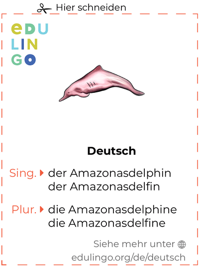 Amazonasdelphin auf Deutsch Vokabelkartei zum Ausdrucken, Üben und Lernen