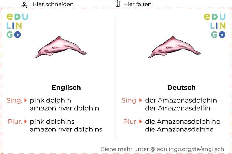 Amazonasdelphin auf Englisch Vokabelkartei zum Ausdrucken, Üben und Lernen