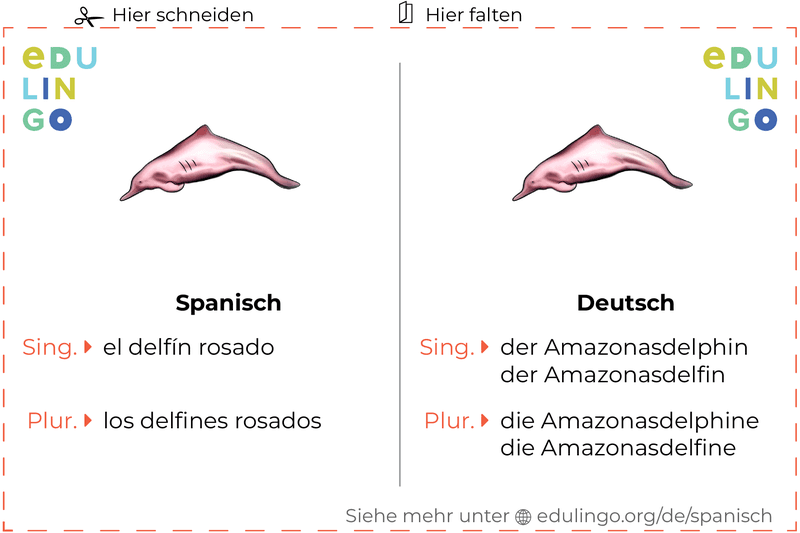 Amazonasdelphin auf Spanisch Vokabelkartei zum Ausdrucken, Üben und Lernen