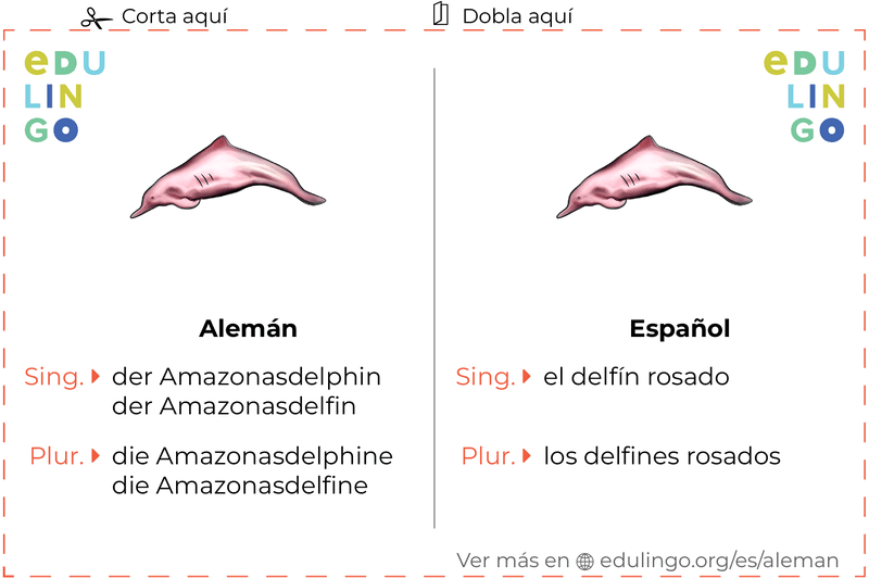 Ficha de Vocabulario Delfín rosado en alemán para imprimir, practicar y aprender