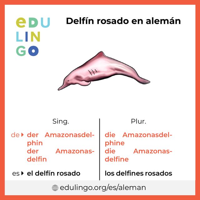 Imagen de vocabulario Delfín rosado en alemán con singular y plural para descargar e imprimir