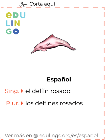 Ficha de Vocabulario Delfín rosado en español para imprimir, practicar y aprender