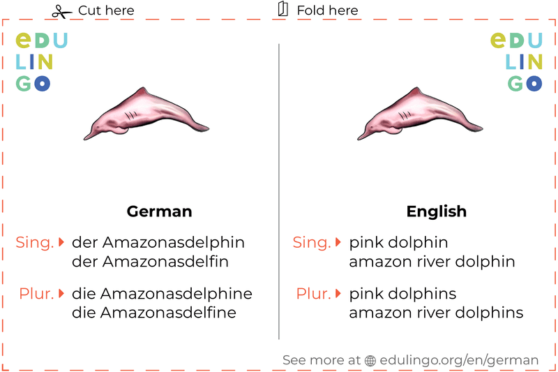 Pink Dolphin in German vocabulary flashcard for printing, practicing and learning