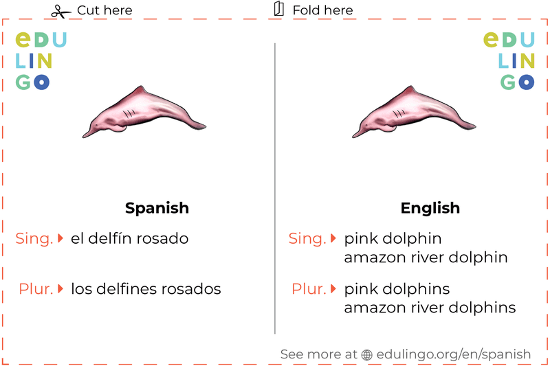Pink Dolphin in Spanish vocabulary flashcard for printing, practicing and learning