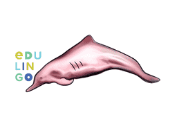 Thumbnail: Pink Dolphin in German