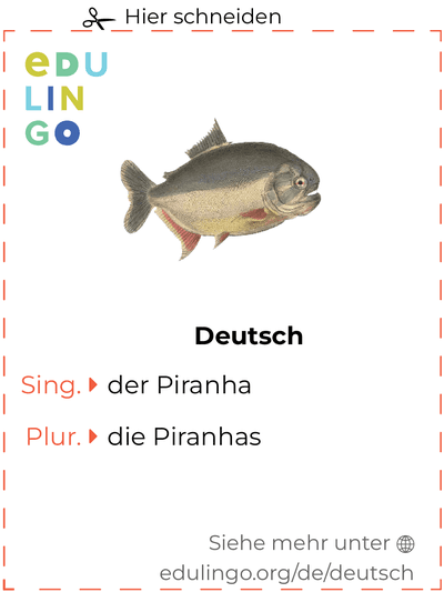 Piranha auf Deutsch Vokabelkartei zum Ausdrucken, Üben und Lernen