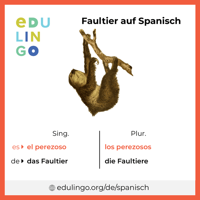 Faultier auf Spanisch Vokabelbild mit Singular und Plural zum Herunterladen und Ausdrucken