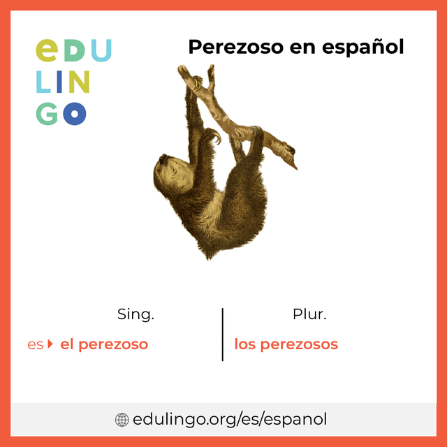 Imagen de vocabulario Perezoso en español con singular y plural para descargar e imprimir