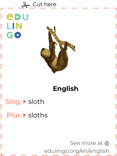 Sloth in English vocabulary flashcard for printing, practicing and learning