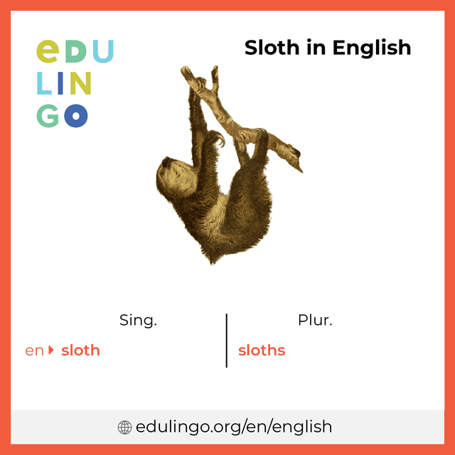Sloth in English vocabulary picture with singular and plural for download and printing