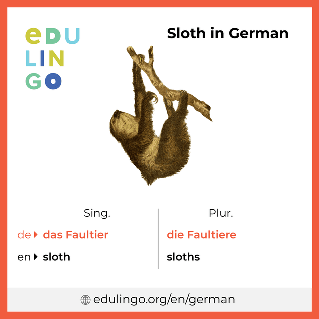 Sloth in German vocabulary picture with singular and plural for download and printing