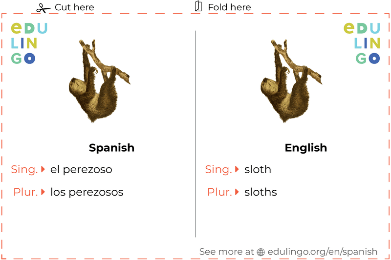 Sloth in Spanish vocabulary flashcard for printing, practicing and learning