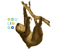 Thumbnail: Sloth in Spanish