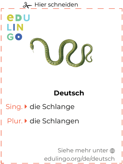 Schlange auf Deutsch Vokabelkartei zum Ausdrucken, Üben und Lernen