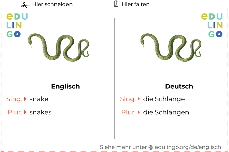 Schlange auf Englisch Vokabelkartei zum Ausdrucken, Üben und Lernen