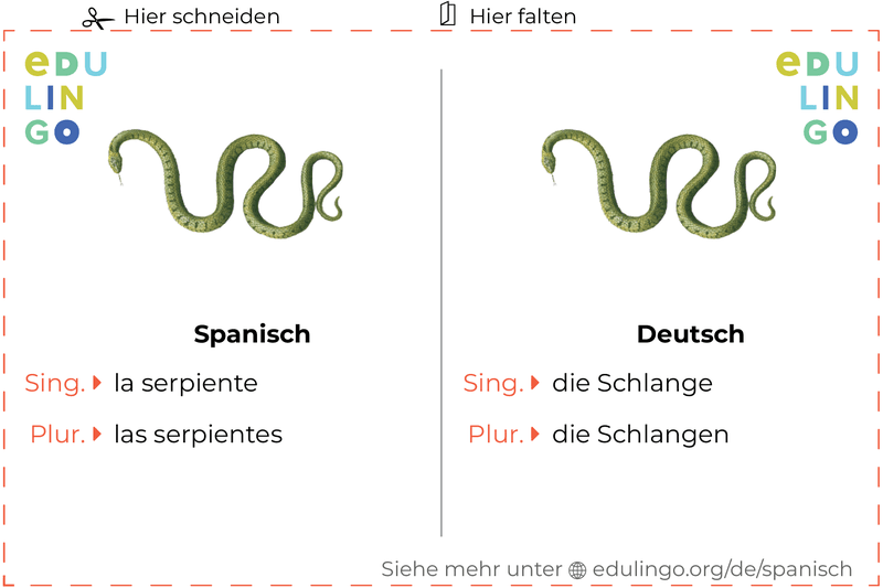 Schlange auf Spanisch Vokabelkartei zum Ausdrucken, Üben und Lernen