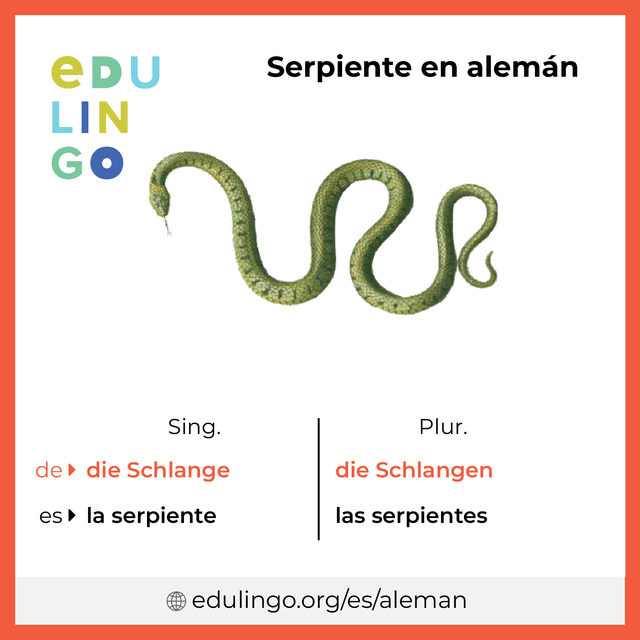 Imagen de vocabulario Serpiente en alemán con singular y plural para descargar e imprimir