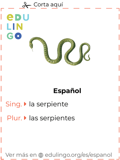 Ficha de Vocabulario Serpiente en español para imprimir, practicar y aprender